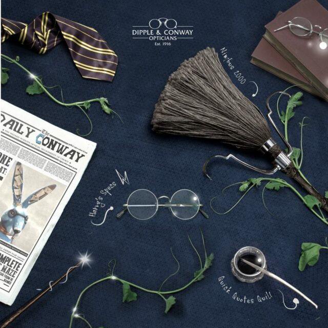 glasses with harry potter theme